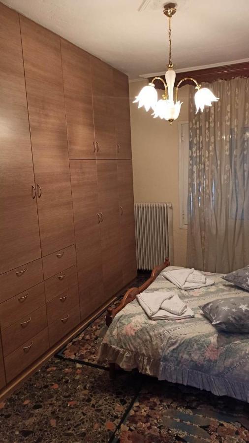 Apartament Panourgia'S House Tríkala Zewnętrze zdjęcie