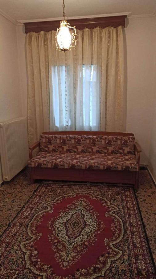 Apartament Panourgia'S House Tríkala Zewnętrze zdjęcie