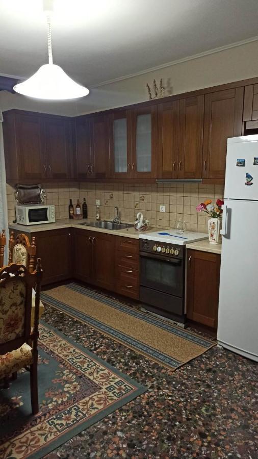 Apartament Panourgia'S House Tríkala Zewnętrze zdjęcie