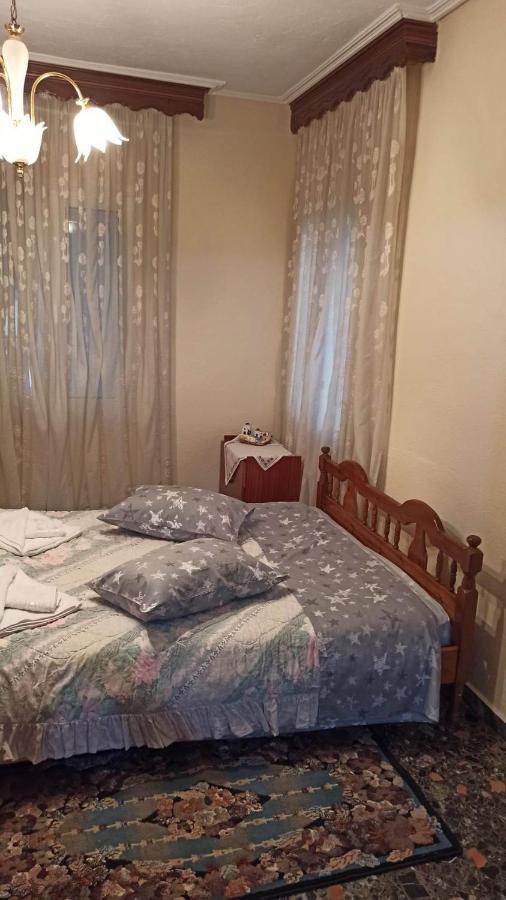 Apartament Panourgia'S House Tríkala Zewnętrze zdjęcie